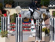 TOSCANO LOVE 2 GioCav2013 S5 1847 : Campionati Italiani Giovani Cavalli, Cattolica, LOVE 2, TOSCANO LORENZO, ph Stefano Secchi ©
